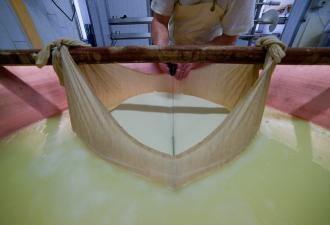 lavorazione-latte_4